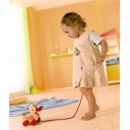 Каталка деревянная "Уточка" Haba