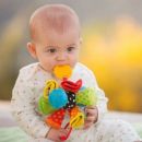 Развивающая игрушка "Одуванчик" infantino