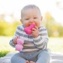 Развивающая игрушка "Зоопарк" infantino