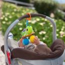 Развивающая игрушка "Зеленая Черепашка" infantino