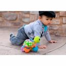 Развивающая игрушка "Зеленая Черепашка" infantino