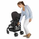 Прогулочная коляска Inglesina Zippy Light Vivid Red
