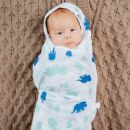 Adam Stork (США) Муслиновые пеленки 2 шт. Мир Динозавров