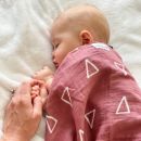 Adam Stork (США) Пеленка муслиновая Triangles