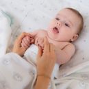 Фланелевая пеленка Adam Stork Premium Cotton Gray Bears