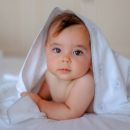 Фланелевая пеленка Adam Stork Premium Cotton Gray Bears