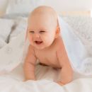 Фланелевая пеленка Adam Stork Premium Cotton Pink Bears