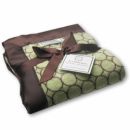 Плед детский SwaddleDesigns Stroller Blanket Lime w/BR Mod C