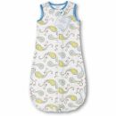 Спальный мешок для новорожденного SwaddleDesigns zzZipMe Sack 3-6M Flannel Pstl Blue Paisley