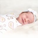 Набор пеленок фланель/тонкая SwaddleDesigns Swaddle Duo Pink Triplets Duo