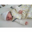 Трикотажный спальный мешок SwaddleDesigns Tiny Fox Sterling 3-6 мес.