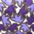 LILAC LACE